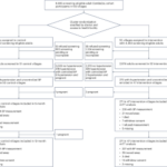 Блок-схема исследования: экспериментальная и контрольная группы в деревнях.