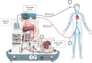 6767f13f138fcaf4cb29ded25f226b71