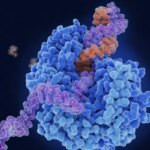 3D модель белка и РНК на темном фоне, взаимодействие молекул для анализа биологических структур.