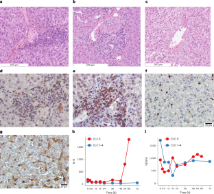 6d51a30c7ebf04d100a7a4c7ce30e195