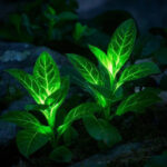 Светящиеся зеленые листья в темноте, биолюминесцентные растения на каменистом фоне.