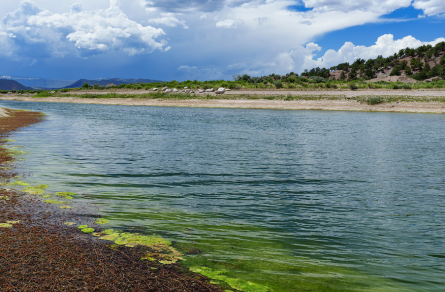 Спокойная река с зелеными водорослями и холмы под облачным небом.