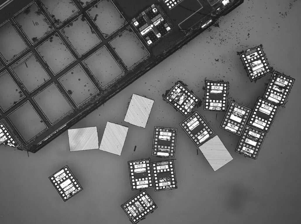 Эти умные роботы меньше крупинки соли 2 на изображении под микроскопом видно, как из печатного набора выскакивает группа крошечных роботов