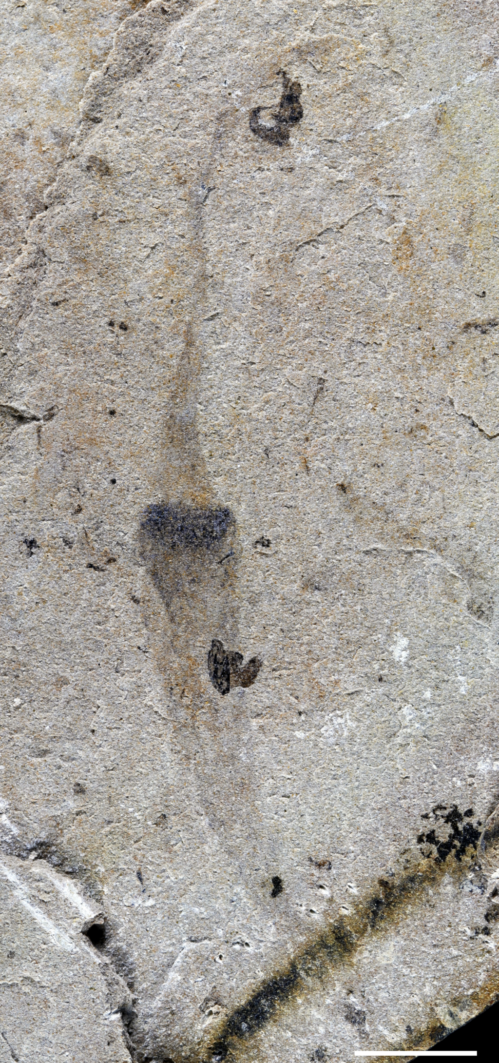 7eba03c956c4e4cc1494dc780c2cf939