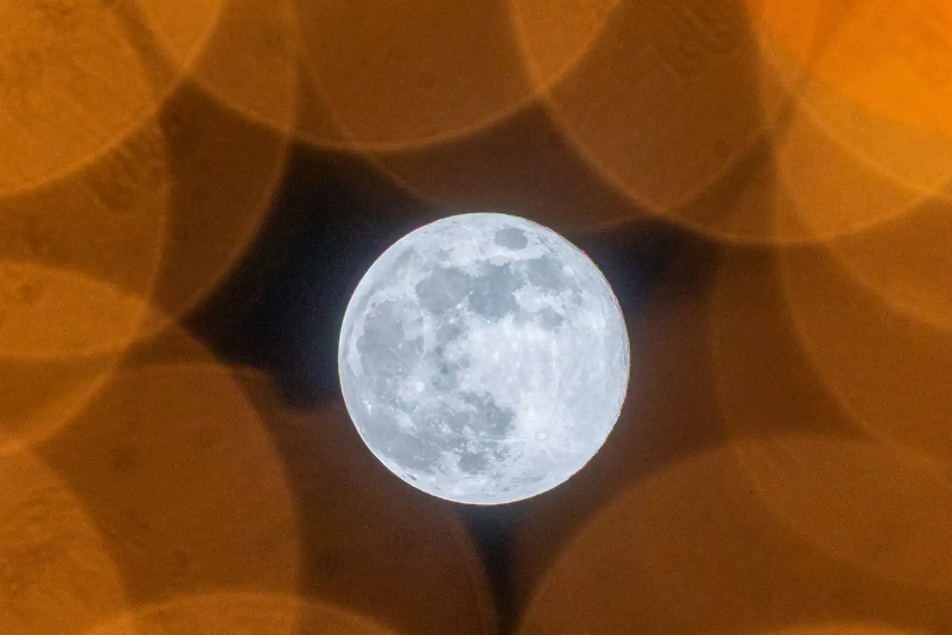 New Scientist. Научные новости и аналитические статьи от экспертов-журналистов, освещающие достижения в науке, технологиях, здравоохранении и охране окружающей среды, на сайте и в журнале.