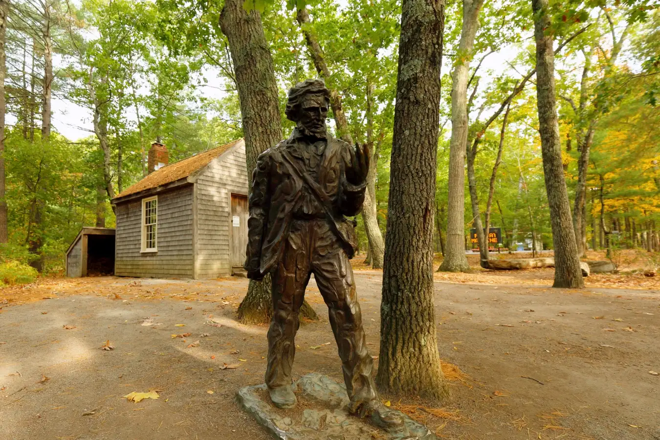 New Scientist. Научные новости и аналитические статьи от экспертов-журналистов, освещающие достижения в науке, технологиях, здравоохранении и охране окружающей среды, на сайте и в журнале.