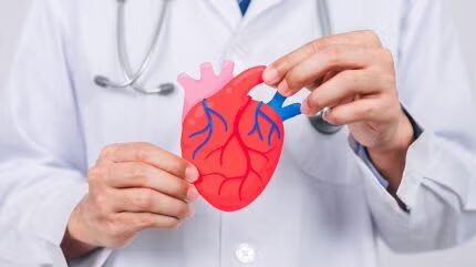 FDA выдала компании Protaryx Medical разрешение на использование устройства для транссептальной пункции.