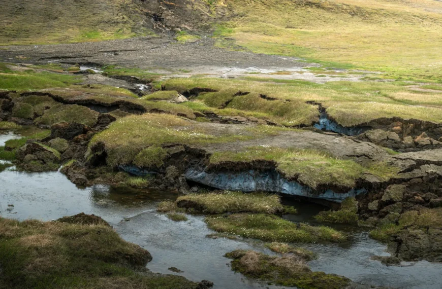 Тающий ледник с разломами на зелёной поляне, ручей с протекающей водой.