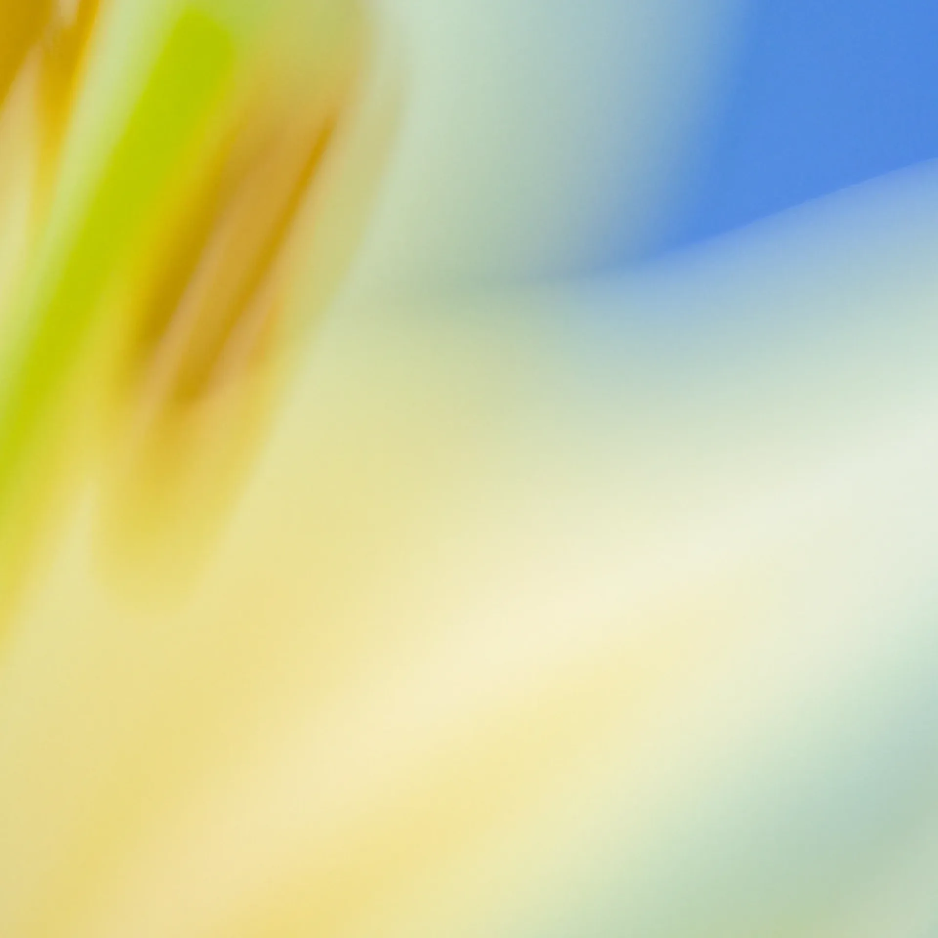 Награда за обнаружение уязвимостей в системе безопасности > художественная открытка