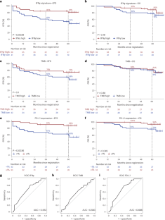 90f3b1adfb1f36a0bd3891086427d1b5