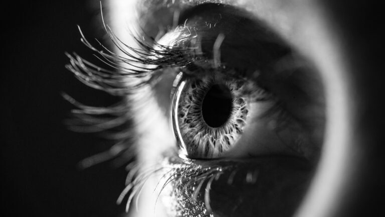 94328a175b19f72dcfaf9e1b8287b960