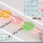 Лазеры для спектральной флуоресценции, взаимодействие с веществами и рыба, схема эксперимента.