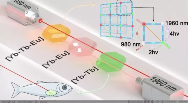 Лазеры для спектральной флуоресценции, взаимодействие с веществами и рыба, схема эксперимента.