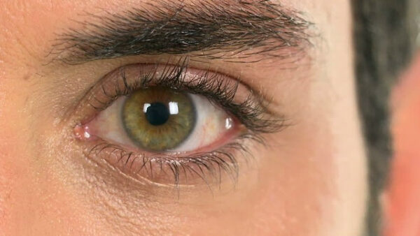Близкий план мужского глаза с зелено-карим оттенком и густыми ресницами.
