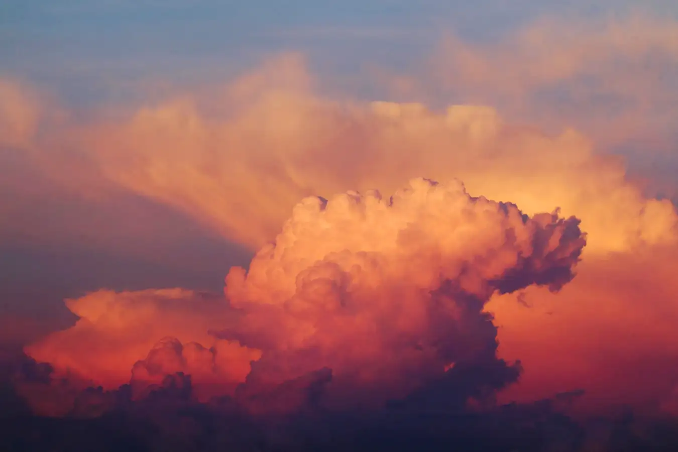 New Scientist. Научные новости и аналитические статьи от экспертов-журналистов, освещающие достижения в науке, технологиях, здравоохранении и охране окружающей среды, на сайте и в журнале.