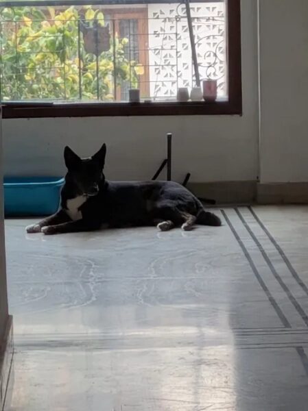 У Pixel 10a нет выступа камеры, и это здорово. 23 a06f11ca74c0f7a2b120553189031d3b