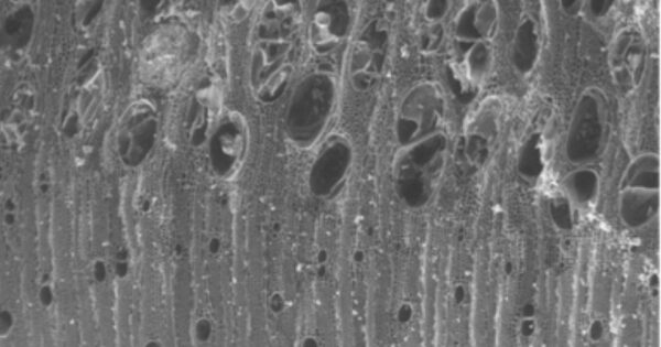 ad16c0189f7df63401445ae576583c99