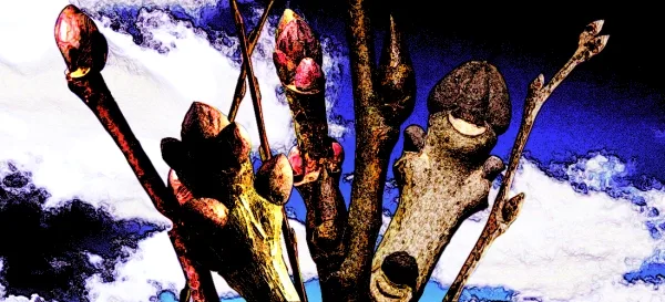 b2da2b2b2b8e11e3166dca8cd7e1a072