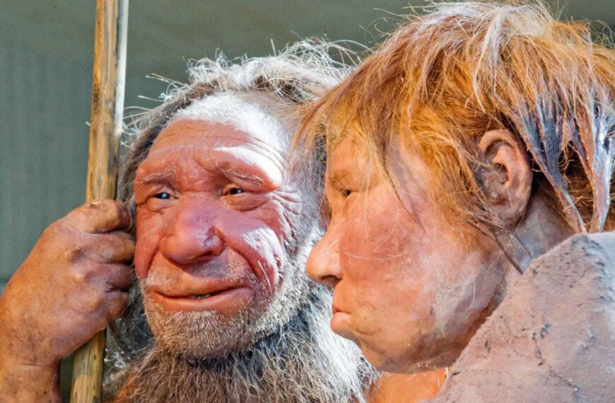 Изображение фигуры древнего человека с копьём и одеждой из шкуры, музейный экспонат.