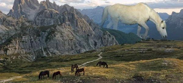 c408e109141c5f50c192e88682596e39