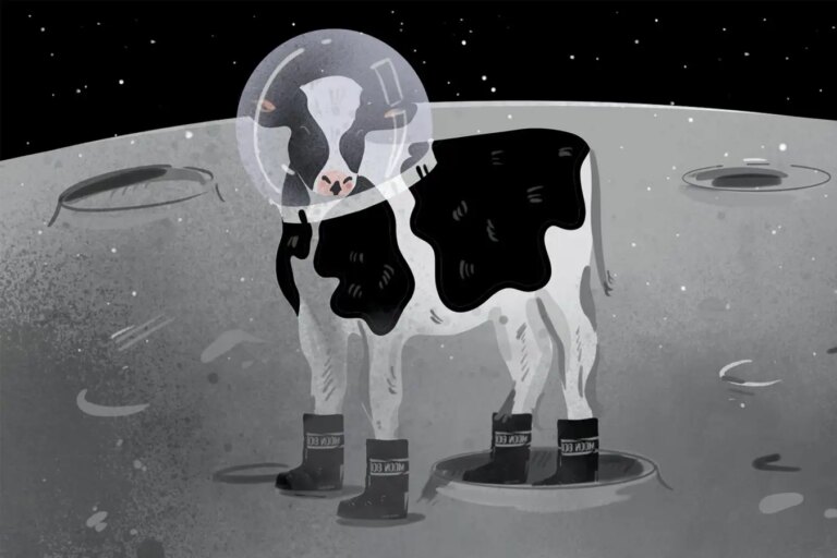 Корова в скафандре и сапогах на поверхности Луны ночью.