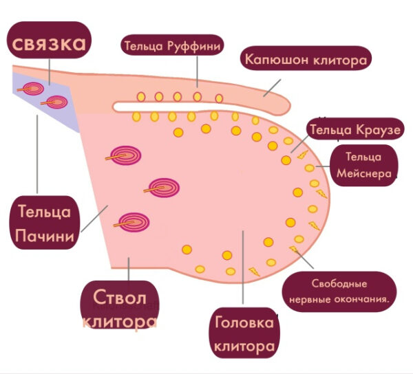 ca2d08d8aaa76be1d325038ad3766e96