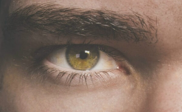 cd0dc2d21ea5985cbbace1c009163637