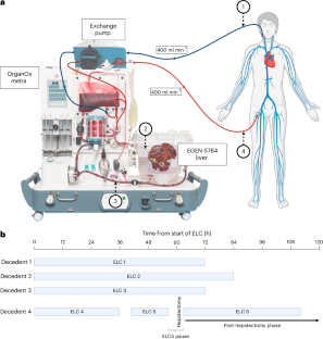 d0f017b78bb7cd676f6261ef0339ec85