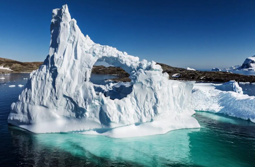Повышение температуры океана приводит к&hellip;