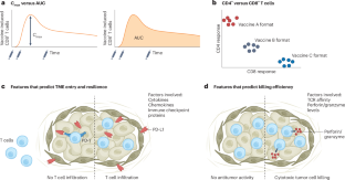 Клиническая разработка вакцин против рака 2 d4225af264d653d41435b4ab699a9d2c