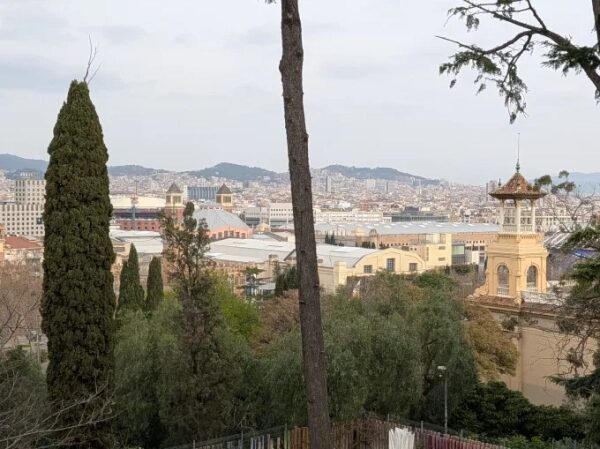 У Pixel 10a нет выступа камеры, и это здорово. 16 d69c810ac310337fe43046f685ad49c6