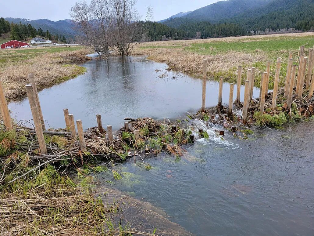 законченный аналог бобровой плотины простирается через ручей