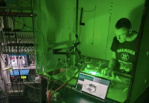 Лаборатория с зелёной подсветкой и оборудованием для исследований, человек работает за столом.