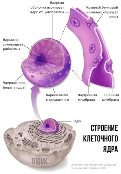 e5959a27b9f51274c7881c0af49c4c58