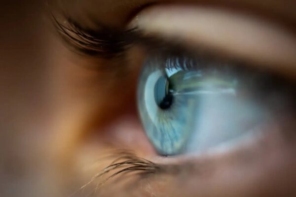 New Scientist. Научные новости и аналитические статьи от экспертов-журналистов, освещающие достижения в науке, технологиях, здравоохранении и охране окружающей среды, на сайте и в журнале.