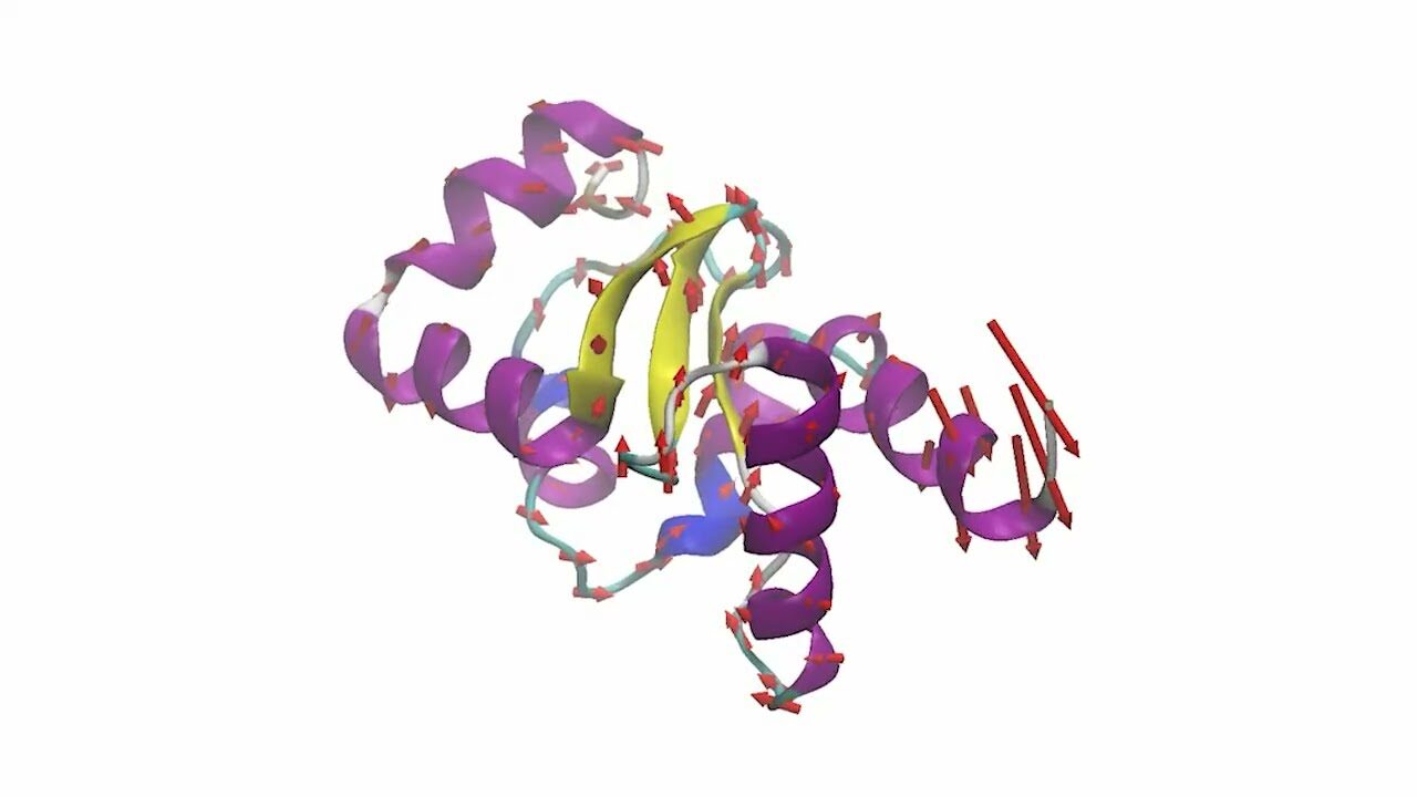 миниатюра видео