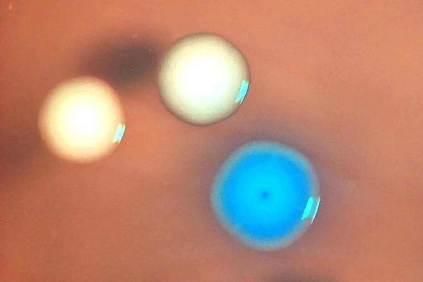 f0d3d284096a7d163880e22389e2aaf5