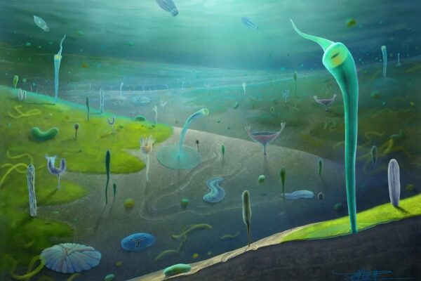 f3c475b3026e93c1af6306afd02d8bae