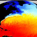Карта температуры поверхности Атлантического океана, цветовая градация холодного и тёплого.