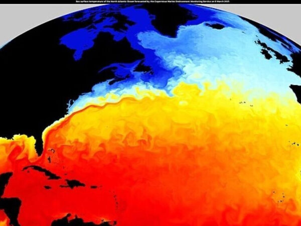 Карта температуры поверхности Атлантического океана, цветовая градация холодного и тёплого.