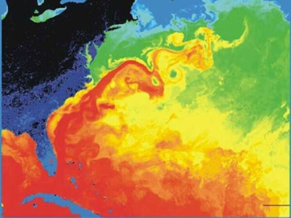 Названы грозные последствия грядущего разрушения Гольфстрима 1 Названы грозные последствия грядущего разрушения Гольфстрима