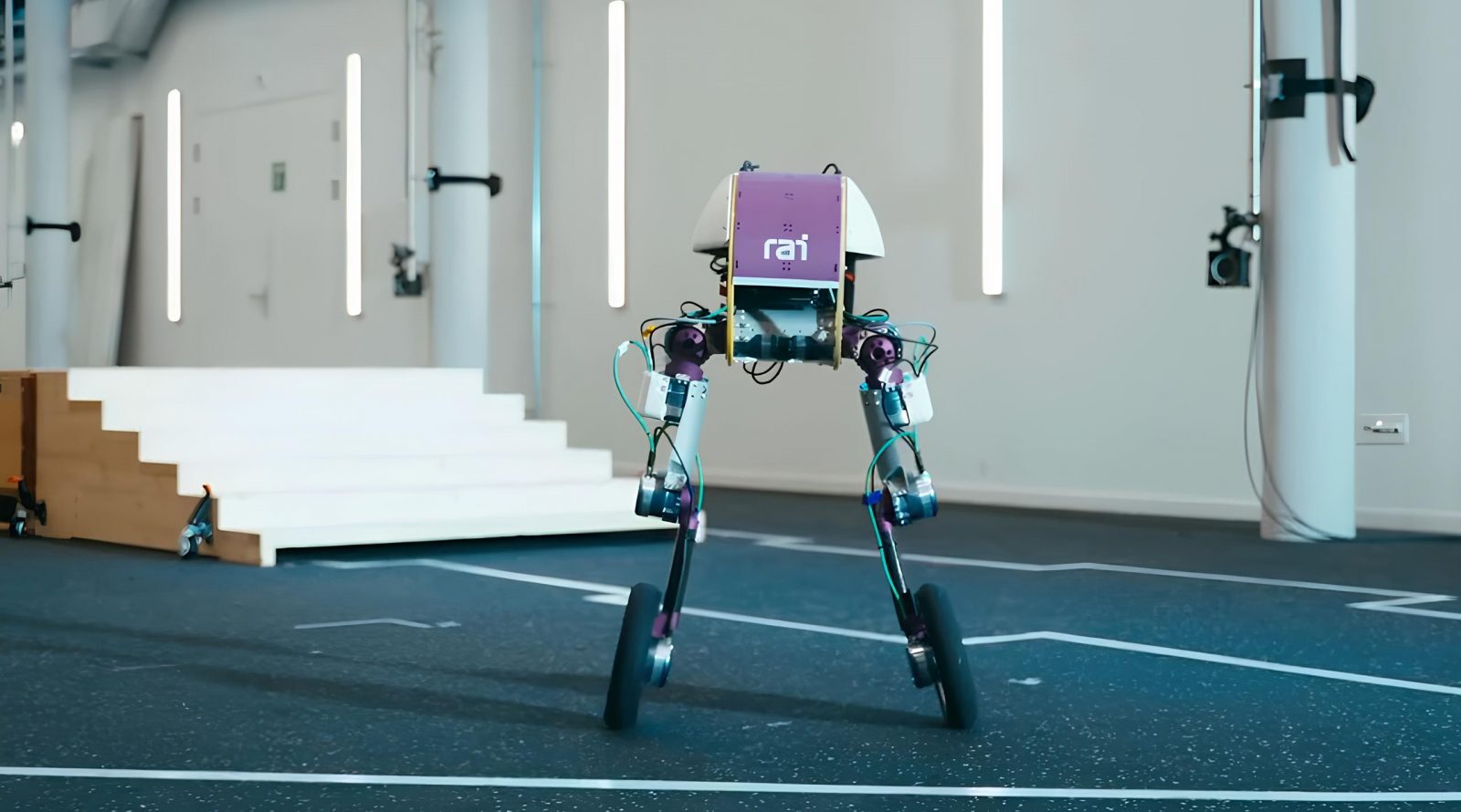 roadrunner-gibridnyj-robot