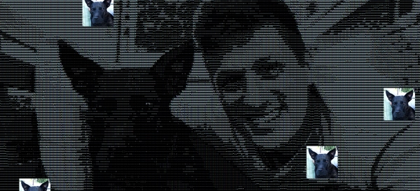 1227a7d2dcebc2cf6c62bab01b68994f