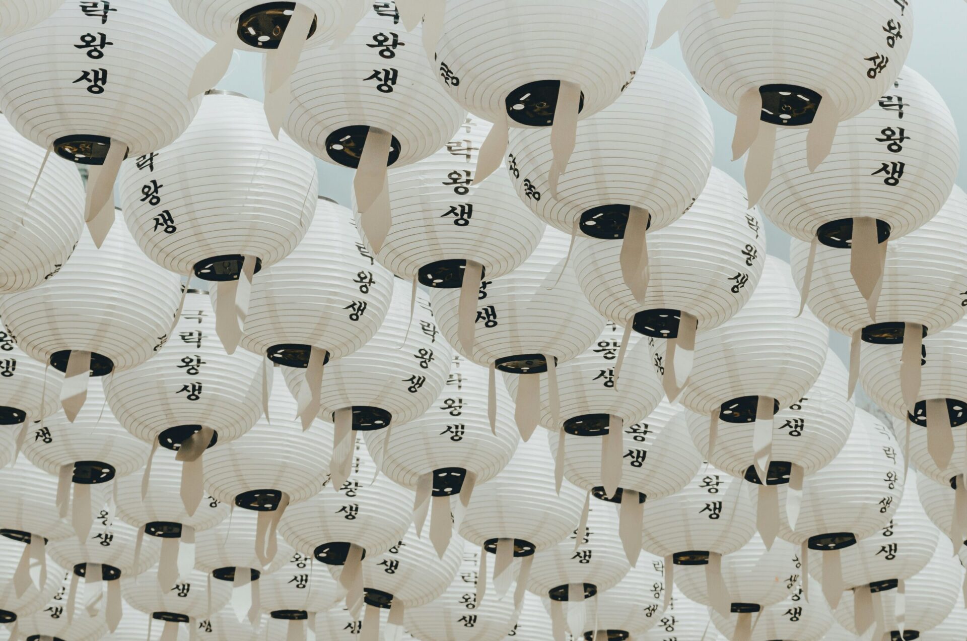 25d60d7345fae66ad0a3a8a67c9e4264