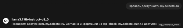 Демонстрационный ответ нейросети.