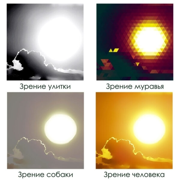 e4bb32ff662aac029274999132ab7f12