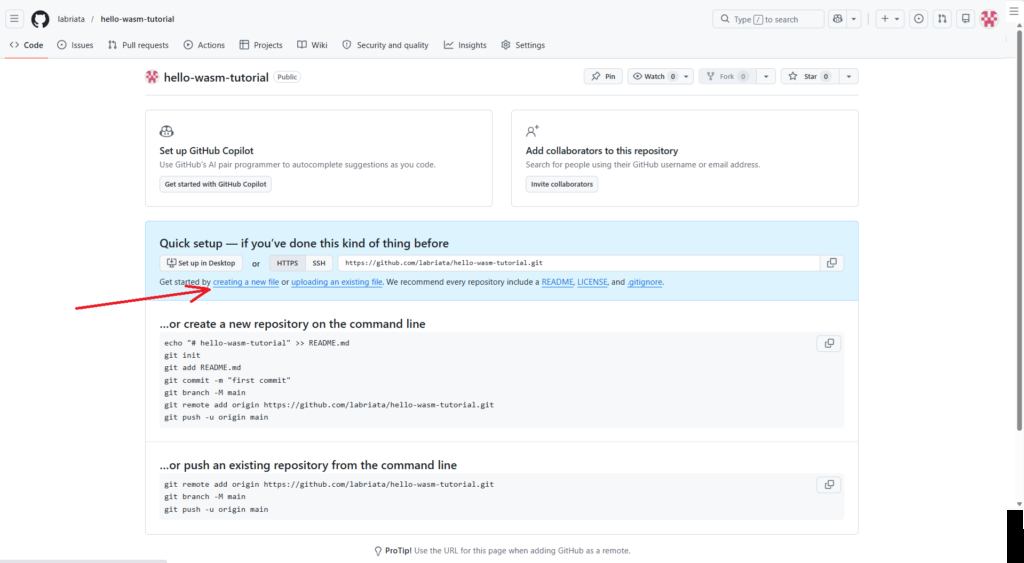 Ваша первая программа и веб-приложение на WebAssembly (написано, протестировано и развернуто полностью в веб-браузере). 4 ed471eb926148ccafb267f2c367f2872