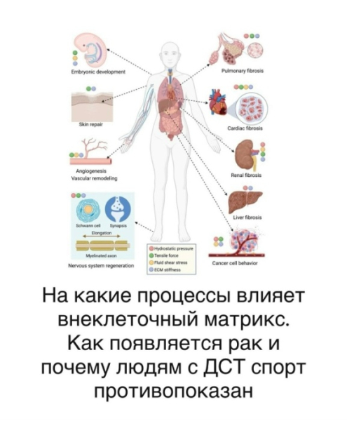 fcf1075d06d75dcca06b72d531e48fc5