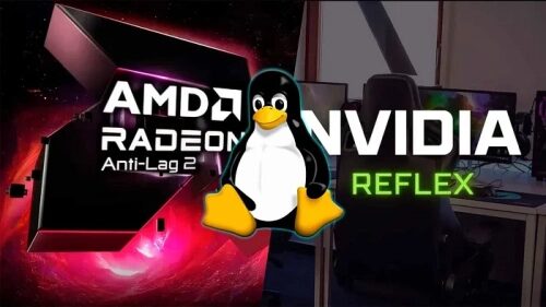 Проект low_latency_layer добавляет поддержку Reflex на видеокартах AMD Проект low_latency_layer добавляет поддержку Reflex на видеокартах AMD