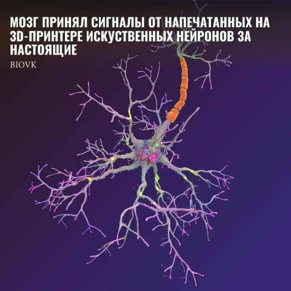 1590e9cb34fe10fdbe84e1151fbe6c23